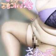 ヒメ日記 2025/09/09 15:20 投稿 こころ 山梨甲府甲斐ちゃんこ