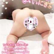 ヒメ日記 2025/11/04 17:33 投稿 こころ 山梨甲府甲斐ちゃんこ