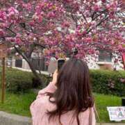 ヒメ日記 2025/04/24 15:56 投稿 綾瀬 穂乃果 Canx2神戸店