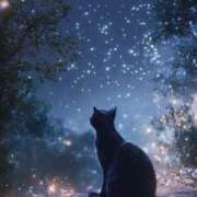 ヒメ日記 2025/05/07 19:00 投稿 まお 奥様特急　池袋・大塚店