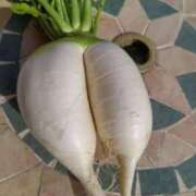 ヒメ日記 2025/05/10 14:34 投稿 まお 奥様特急　池袋・大塚店