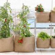 ヒメ日記 2025/05/14 08:50 投稿 まお 奥様特急　池袋・大塚店