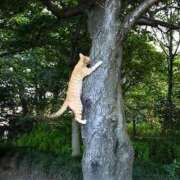 ヒメ日記 2025/06/01 07:50 投稿 まお 奥様特急　池袋・大塚店