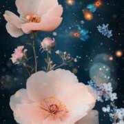 ヒメ日記 2025/06/01 17:00 投稿 まお 奥様特急　池袋・大塚店