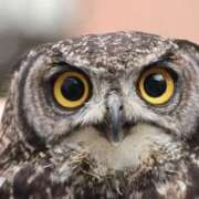 ヒメ日記 2025/06/02 22:30 投稿 まお 奥様特急　池袋・大塚店