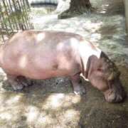 ヒメ日記 2025/06/06 15:34 投稿 まお 奥様特急　池袋・大塚店