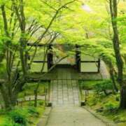 ヒメ日記 2025/05/06 06:05 投稿 まお 奥様特急　上野・鶯谷店