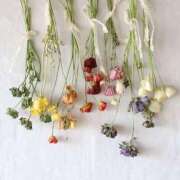 ヒメ日記 2025/05/07 11:15 投稿 まお 奥様特急　上野・鶯谷店