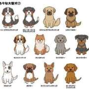 ヒメ日記 2025/05/07 17:25 投稿 まお 奥様特急　上野・鶯谷店