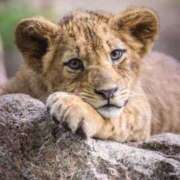 ヒメ日記 2025/05/12 13:45 投稿 まお 奥様特急　上野・鶯谷店