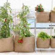 ヒメ日記 2025/05/14 08:55 投稿 まお 奥様特急　上野・鶯谷店