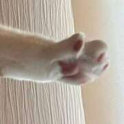 ヒメ日記 2025/05/31 22:05 投稿 まお 奥様特急　上野・鶯谷店