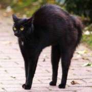 ヒメ日記 2025/06/01 01:25 投稿 まお 奥様特急　上野・鶯谷店