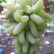 ヒメ日記 2025/06/03 22:55 投稿 まお 奥様特急　上野・鶯谷店