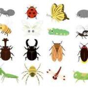 ヒメ日記 2025/06/04 16:46 投稿 まお 奥様特急　上野・鶯谷店