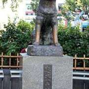 ヒメ日記 2025/06/06 19:39 投稿 まお 奥様特急　上野・鶯谷店