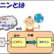 ヒメ日記 2025/06/07 07:25 投稿 まお 奥様特急　上野・鶯谷店