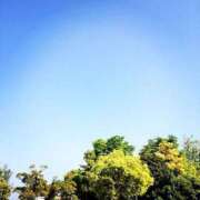 ヒメ日記 2025/06/12 08:55 投稿 まお 奥様特急　上野・鶯谷店