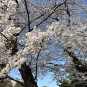 ヒメ日記 2025/03/30 15:42 投稿 りえ 鶯谷デリヘル倶楽部