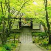 ヒメ日記 2025/05/06 06:04 投稿 まお 奥様特急　立川店