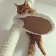 ヒメ日記 2025/05/06 06:34 投稿 まお 奥様特急　立川店