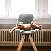 ヒメ日記 2025/05/06 11:27 投稿 まお 奥様特急　立川店