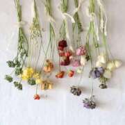 ヒメ日記 2025/05/07 11:14 投稿 まお 奥様特急　立川店