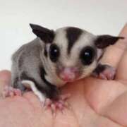 ヒメ日記 2025/05/07 13:44 投稿 まお 奥様特急　立川店