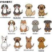 ヒメ日記 2025/05/07 17:24 投稿 まお 奥様特急　立川店