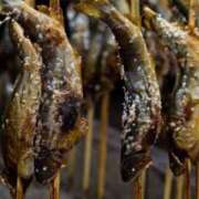 ヒメ日記 2025/05/08 14:34 投稿 まお 奥様特急　立川店