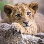 ヒメ日記 2025/05/12 13:40 投稿 まお 奥様特急　立川店