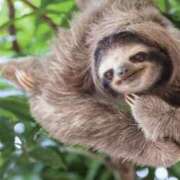 ヒメ日記 2025/05/13 17:04 投稿 まお 奥様特急　立川店