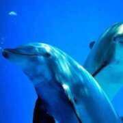 ヒメ日記 2025/05/14 14:34 投稿 まお 奥様特急　立川店