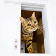 ヒメ日記 2025/05/15 11:24 投稿 まお 奥様特急　立川店