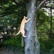 ヒメ日記 2025/06/01 08:04 投稿 まお 奥様特急　立川店