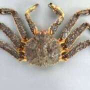 ヒメ日記 2025/06/02 05:14 投稿 まお 奥様特急　立川店