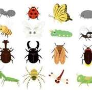 ヒメ日記 2025/06/04 16:44 投稿 まお 奥様特急　立川店