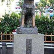 ヒメ日記 2025/06/06 19:44 投稿 まお 奥様特急　立川店