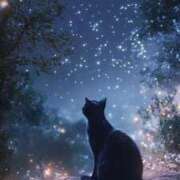 ヒメ日記 2025/06/06 22:44 投稿 まお 奥様特急　立川店