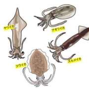 ヒメ日記 2025/06/11 05:34 投稿 まお 奥様特急　立川店