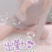 ヒメ日記 2025/03/14 10:08 投稿 はづき 横浜ひよこ倶楽部