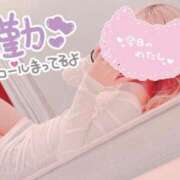 ヒメ日記 2025/03/22 21:16 投稿 はづき 横浜ひよこ倶楽部