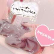 ヒメ日記 2025/03/23 15:36 投稿 はづき 横浜ひよこ倶楽部