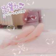 ヒメ日記 2025/04/23 10:26 投稿 はづき 横浜ひよこ倶楽部