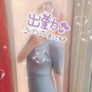 ヒメ日記 2025/04/25 12:26 投稿 はづき 横浜ひよこ倶楽部