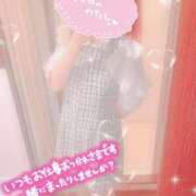 ヒメ日記 2025/05/20 14:26 投稿 はづき 横浜ひよこ倶楽部