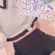 ヒメ日記 2025/05/26 14:26 投稿 はづき 横浜ひよこ倶楽部