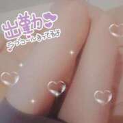 ヒメ日記 2025/08/12 10:36 投稿 はづき 横浜ひよこ倶楽部