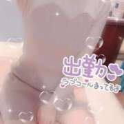 ヒメ日記 2025/09/11 11:46 投稿 はづき 横浜ひよこ倶楽部