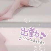 ヒメ日記 2025/10/19 20:19 投稿 はづき 横浜ひよこ倶楽部